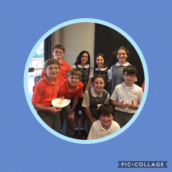 Meet your Posher, Chloe - Picture 4 of 8